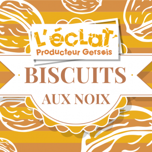 Biscuit choco-noix